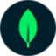 MongoDB icon